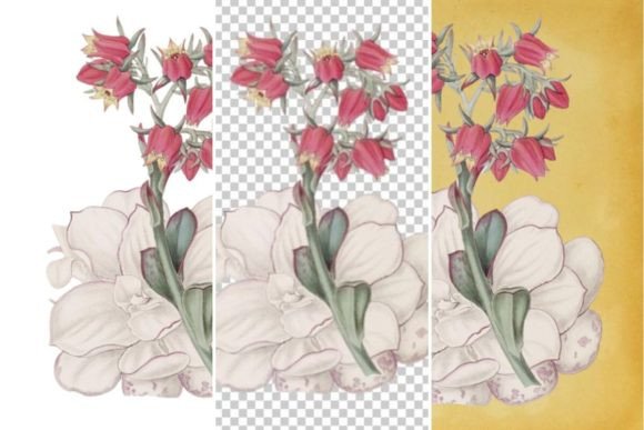 Download Vintage Flower Wall Art Printable - Flower Collection