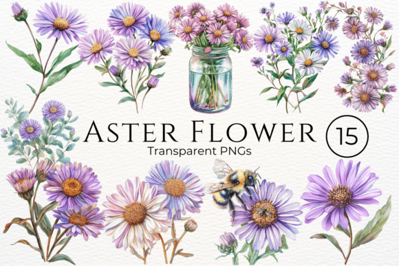 Download Aster Flower Watercolor Cliparts - Flower Collection