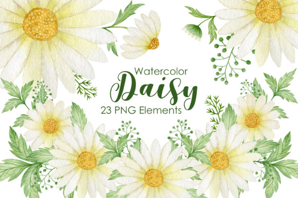 Download Watercolor Daisy Clipart - Daisy Collection