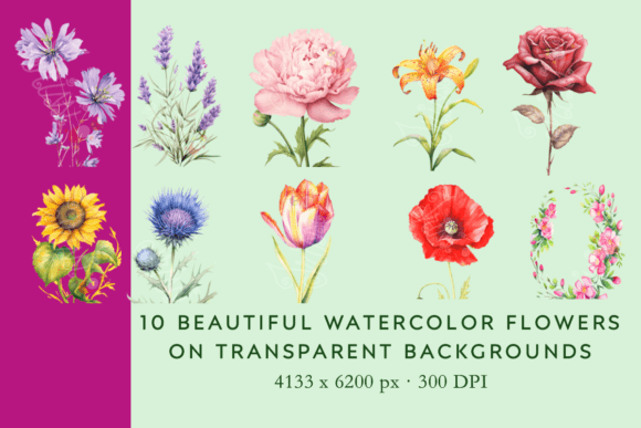 Download Vintage Watercolor Flower Illustrations - Flower Collection