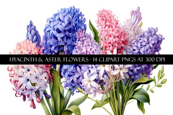 Download Hyacinth and Aster Flower Clipart - Flower Collection