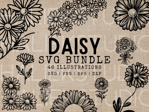 Download Daisy SVG Illustrations - Daisy Collection