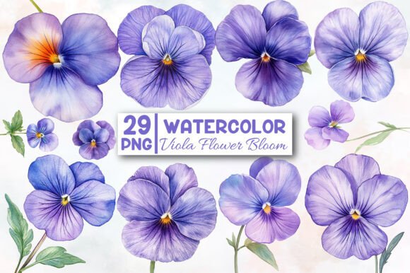 Download Viola Flower Bloom Clipart - Flower Collection