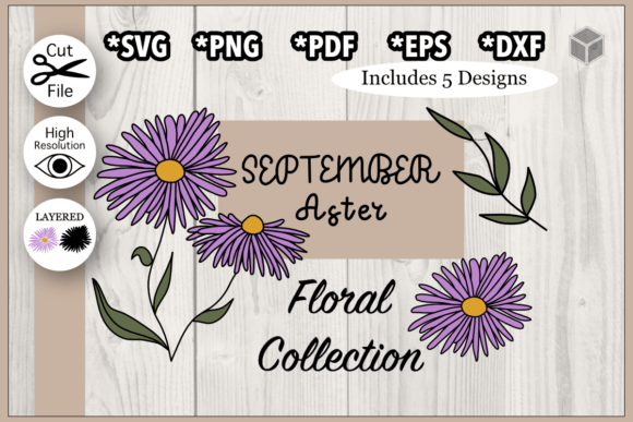 Download September Aster Flower Illustration Set - Flower Collection