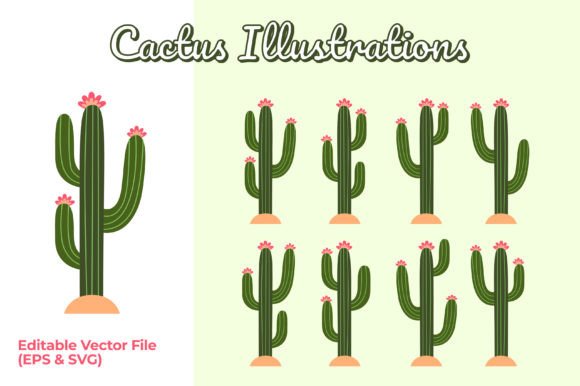 Download Set of Cactus with Flower Illustrations - Flower Collection