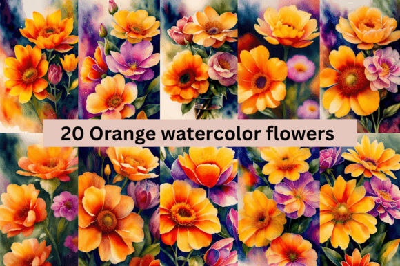 Download #2 Orange Watercolor Flowers Bundle - Flower Collection