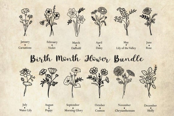 Download Birth Flower Bundle - Flower Collection