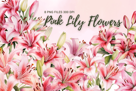 Download Pink Lily Flowers Watercolor Clipart - Flower Collection