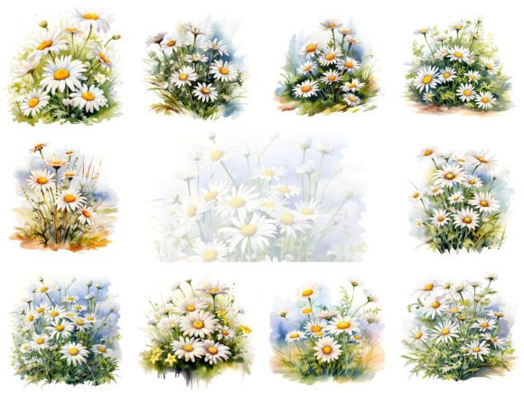 Download Daisies Watercolor Clipart Images Set - Daisies watercolor Collection