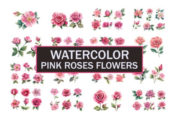 Download Hand Painted Roses Flowers - Flower Collection