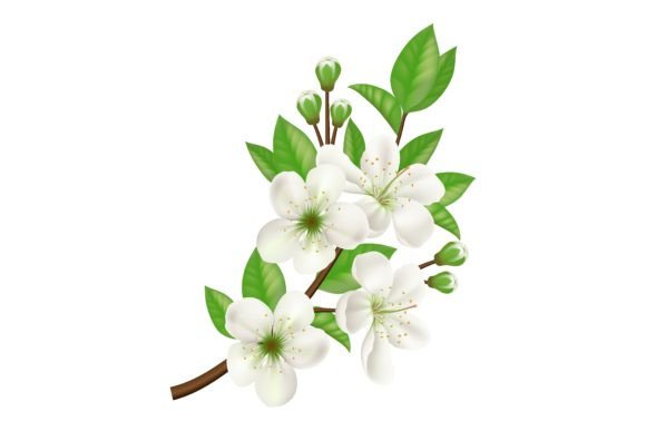 Download Blossoming Apple Tree Twig. Design Eleme - Blossom Collection