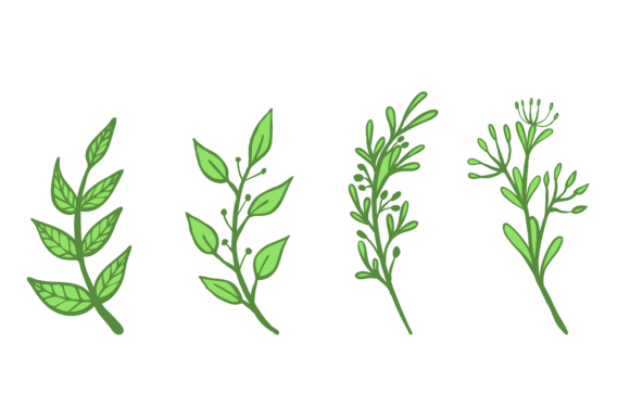 Download Set Flower Plant Botanical Design - Flower Collection
