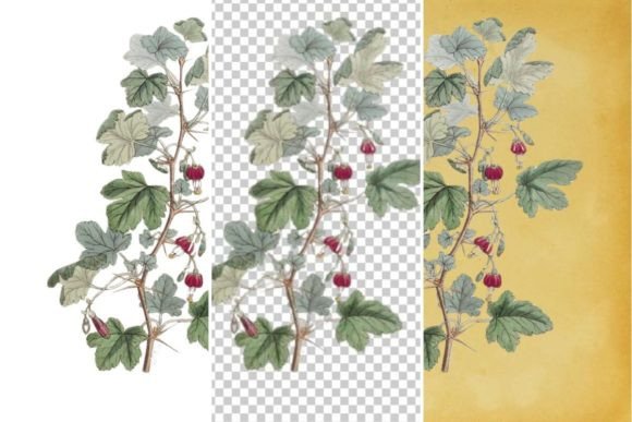 Download Vintage Flower Wall Art Printable - Flower Collection