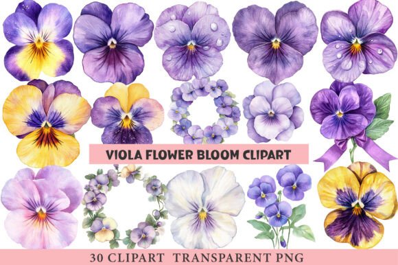 Download Viola Flower Bloom Clipart - Flower Collection