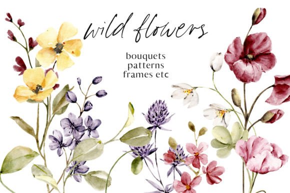Download Wild Flowers, Poppies Watercolor Set - Flower Collection