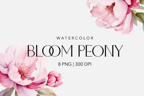 Download Watercolor Peony&amp;Magnolia Flowers - Flower Collection