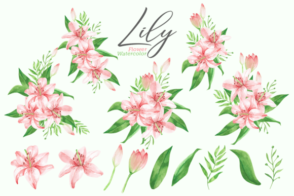 Download 14 Watercolor Lily Flower Illustrations - Flower Collection