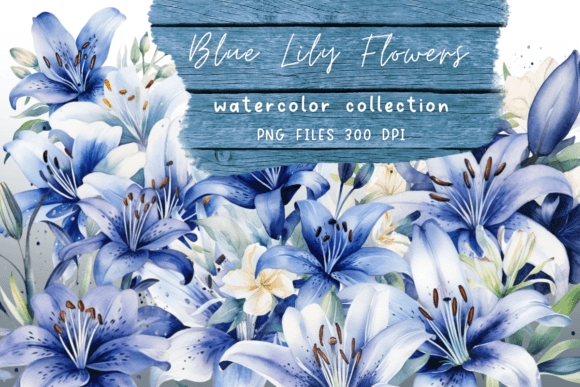 Download Watercolor Lily Blue Flowers - Flower Collection