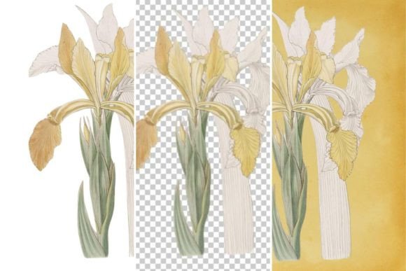 Download Vintage Flower Wall Art Printable - Flower Collection